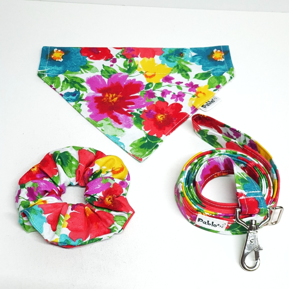 Pablo Reversible Floral Dog Bandana Leash & Scrunchie Set